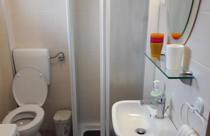 Apartment Nena- apartman sa posebnim ulazom u prizemlju, terasom i zelenom okućnicom - Foto 23