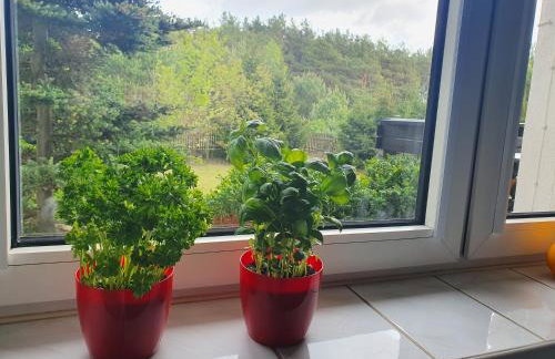 Przestronny, komfortowy dom - Foto 17