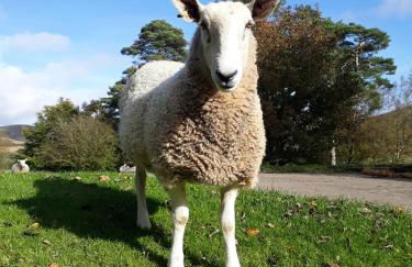 Beautiful Traditional secluded country cottage - Foto 19