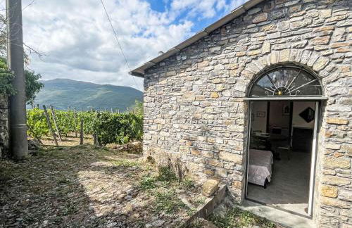 Holiday Home Il Collegio by Interhome - Photo 33