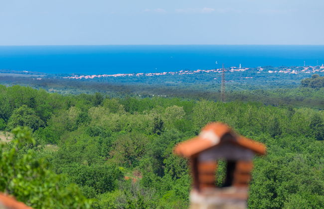 Villa Radovani - Foto 35