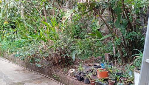 Casa da tranquilidade - Photo 5