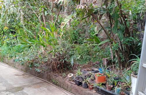 Casa da tranquilidade - Photo 5