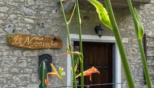 Il Nocciolo - Foto 1