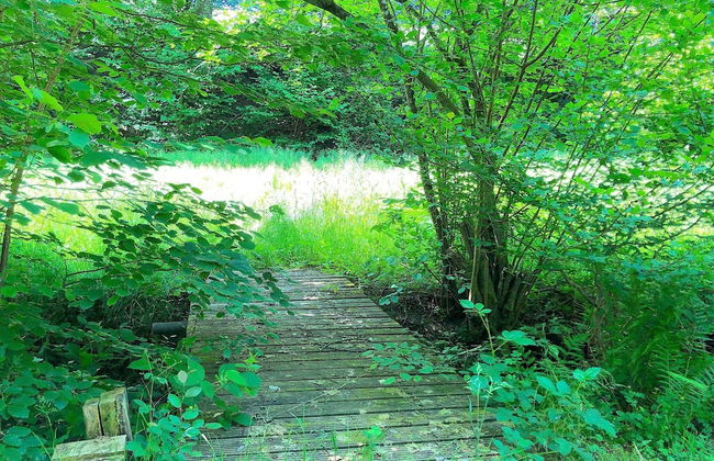 Scenic Holiday Home in Windeck With Garden - Foto 13