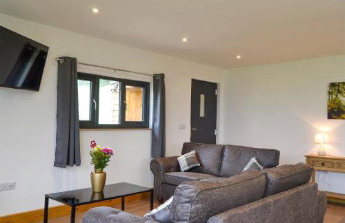 Offa's Dyke Lodge - Uk10835 - Foto 4