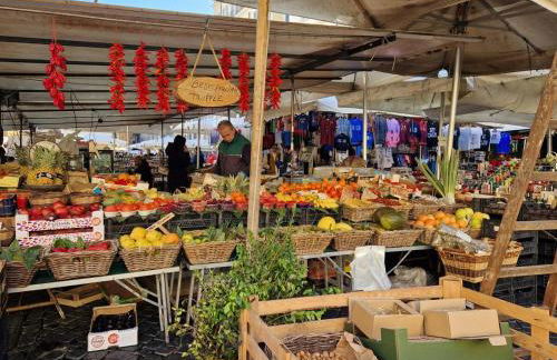 Piazza Cancelleria - Foto 29