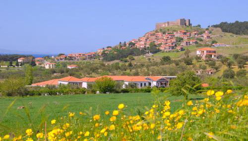 Elea Houses - Foto 1, Garden, Other