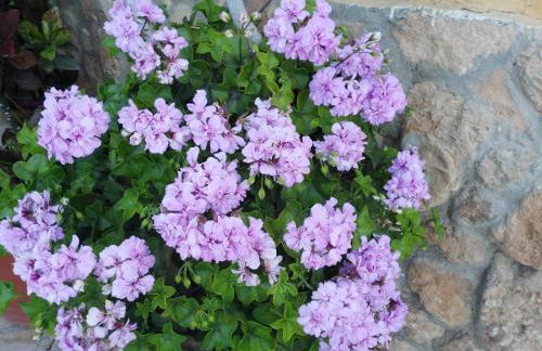 Alojamiento rural Masía Valldepérez - Foto 15