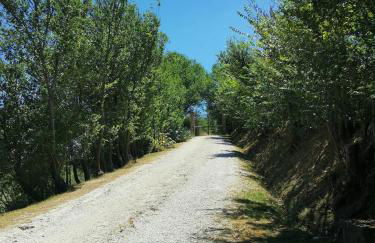 Villa Giulia, a splendid farmhouse in the Marche region - Foto 28