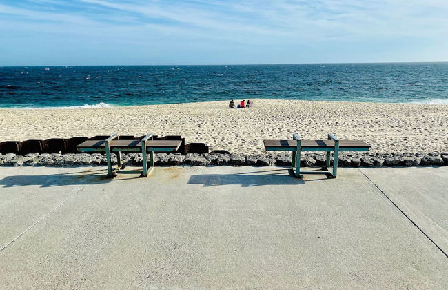 Rua Professor Nelson Rabello - Foto 35