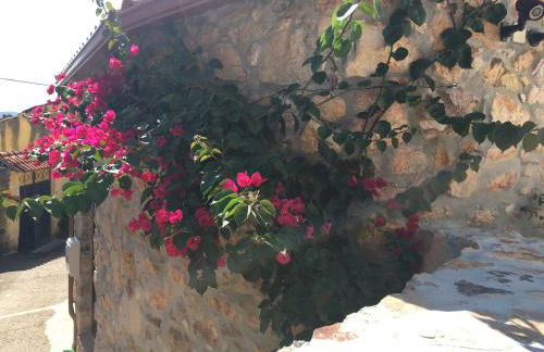 Casas no Terreiro - Photo 8