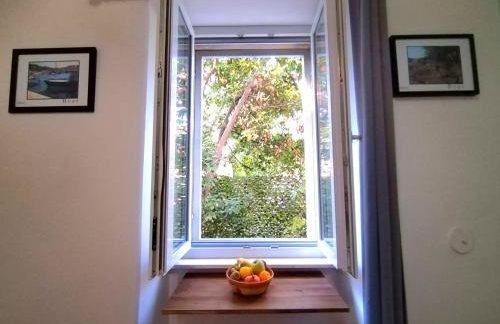 Garden in the center - Photo 9