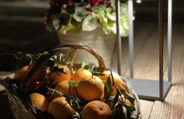 Fattoria Manostalla Villa Chiarelli - Foto 42