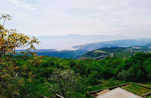 FoREST Heritage Apartment - Foto 28