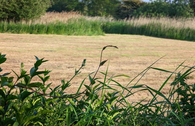 Luxury Glamping Pod With Hot Tub, Fees Apply - Foto 16