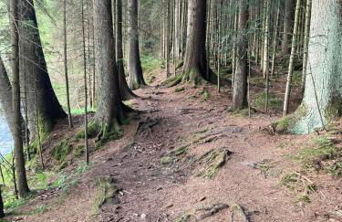 F&F Apartment - Foto 37