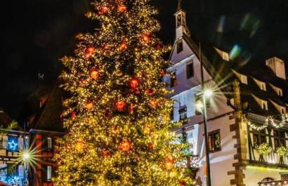 Le Beffroi - Foto 22