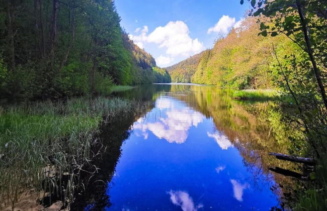 Small and Cozy Apartment in Frauenwald near Forest - Foto 36