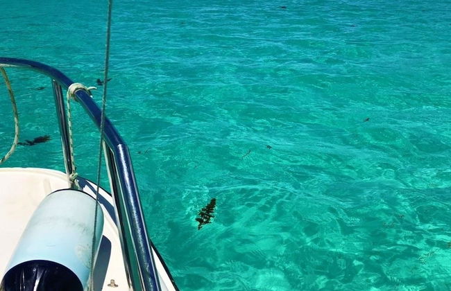 South Point Villas - Photo 39