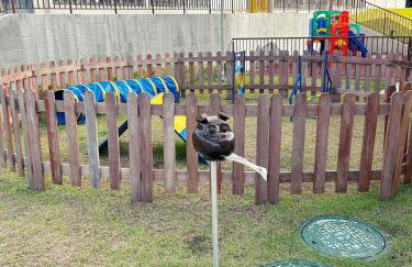 Jardim dos Corais 507 - Foto 28