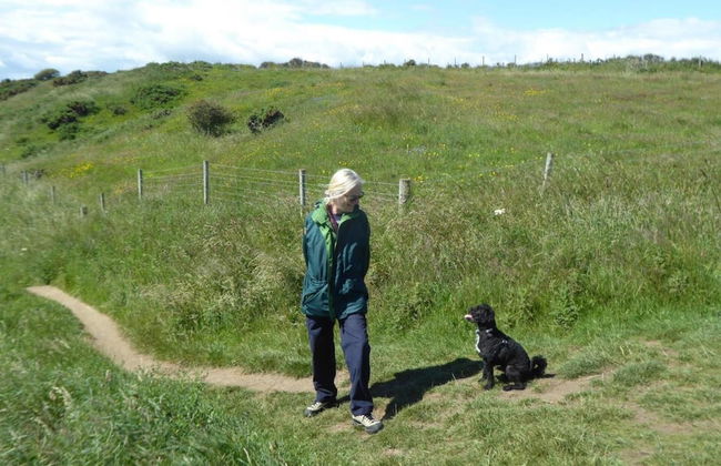 Dog Friendly Bed & Bowl Beach Chalet - Foto 6