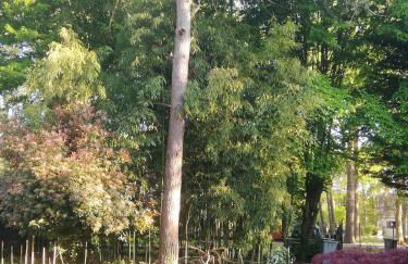 Grande maison au calme au cœur d un bois 11 personnes - Photo 26