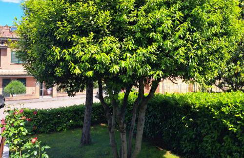 La Villetta dei nonni - Foto 8