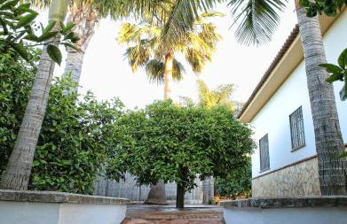 Casa Rural Típica Andaluza, WiFi,Piscina, Barbacoa, Aire Acondicionado, 5min Centros - Photo 25