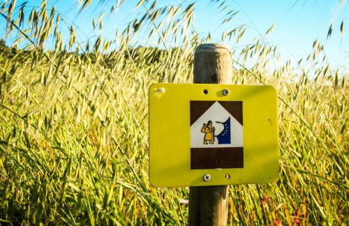 Colle Bertini - Foto 44