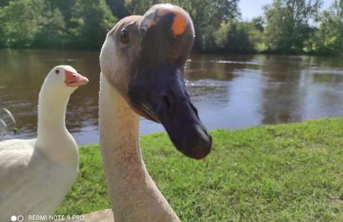 Moon River - Foto 31