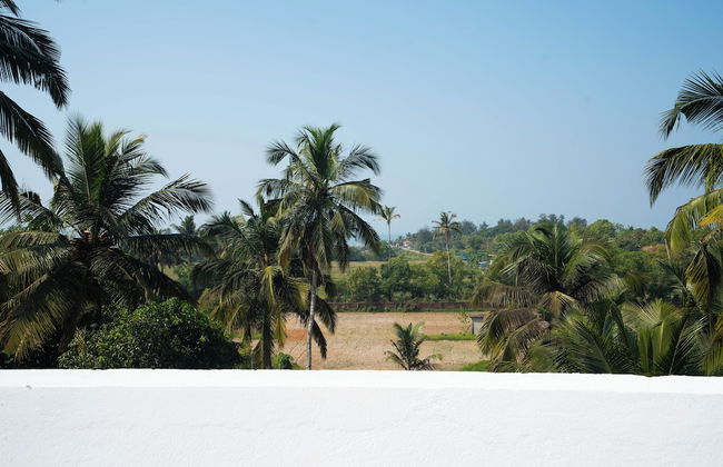 Mistral by the Sea - Foto 29