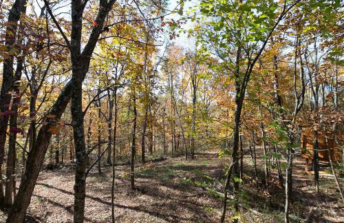 Cherry Hollow - Foto 52