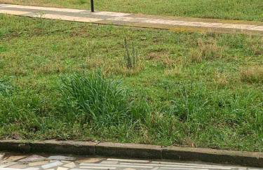 Lanari Valley House - Photo 14