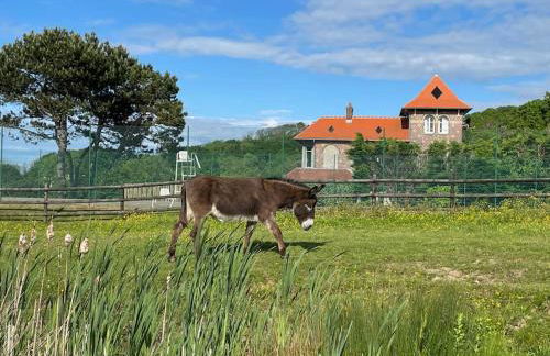 Le colombier, villa vue mer accès plage 300M - Foto 6