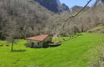 La Molnera - Foto 32