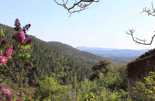 La Maison d'Allouma - Foto 9