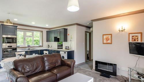 Mallard - Uk41033 - Photo 3