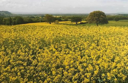 Cotswolds Retreat - Foto 60