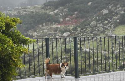 Casa Pinhão - Foto 22