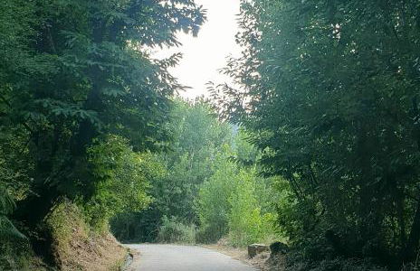 La cerra -Tiny-house - Foto 35