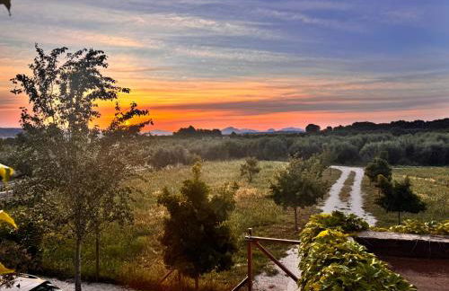 Casa La Poza - Foto 15