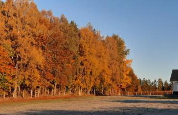 DoWielina - domki wśród natury - Foto 8