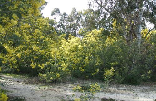 Résidence Santa - Foto 25