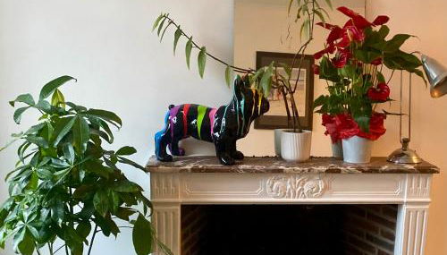 Studio Plein Centre - Foto 3