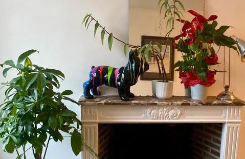 Studio Plein Centre - Foto 3