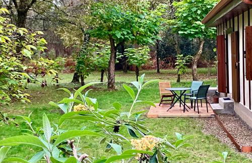 Maison en forêt, calme, proche village et piste cyclable - meublé 3 étoiles - Foto 21