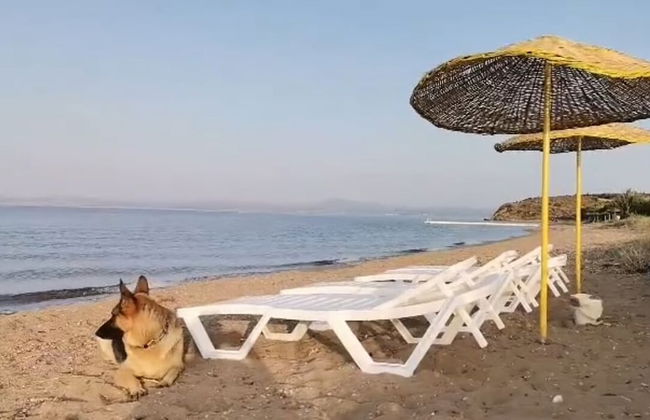 Zeus kır evi - Photo 65