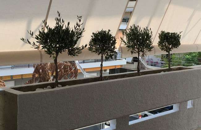 Captain's Luxury Suite - Photo 25