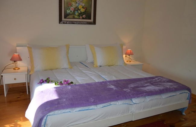 Villa Angiolina - Foto 4